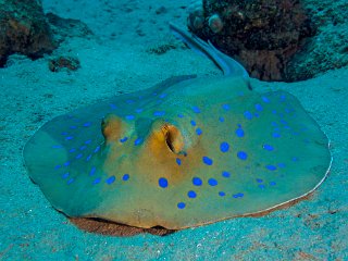 DSC03500_cor1.jpg