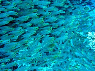 DSC03672_cor.jpg