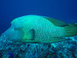 DSC03852_cor.jpg