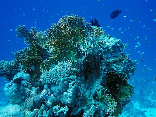 DSC03963_cor.jpg
