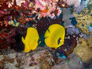 DSC04001_cor.jpg