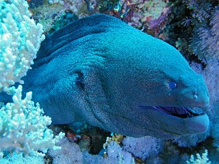DSC04125_cor.jpg