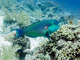 DSC04605_cor.jpg